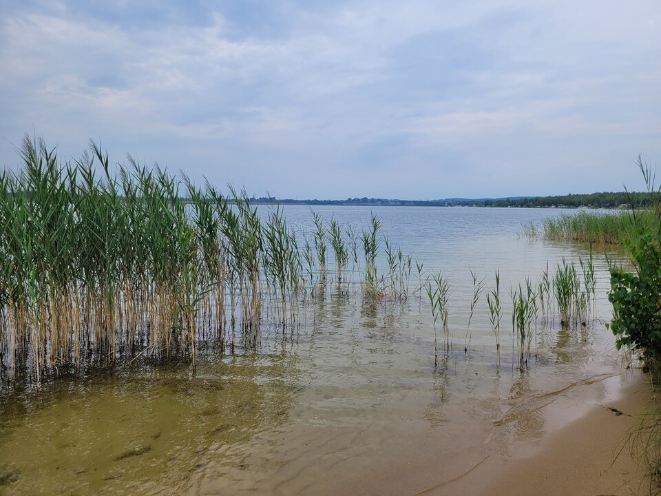 20240802_162736.jpg - Marcin_grzybowice