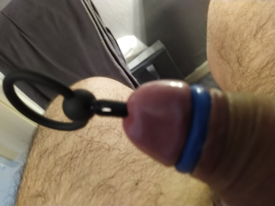 a1995311-2b4e-4116-8f17-4120a3947222-1_all_6077.jpg - Parasaksonia