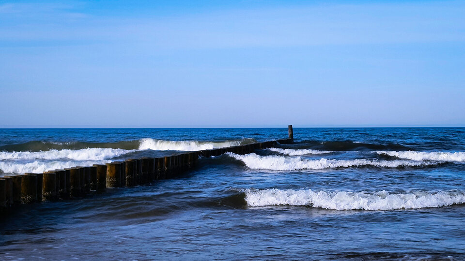 438082770_8342750872420060_5323749505983682971_n.jpg - ELEGANTWWA2024