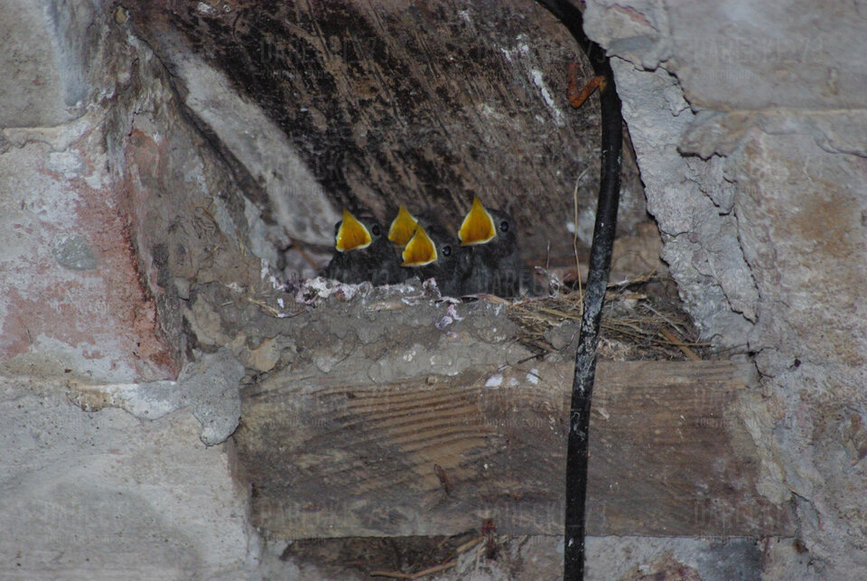 IMGP2077.JPG - Darecki_73