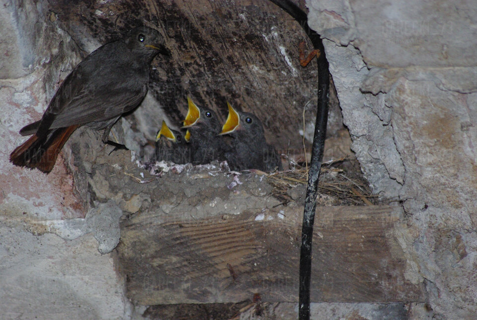 IMGP2078.JPG - Darecki_73