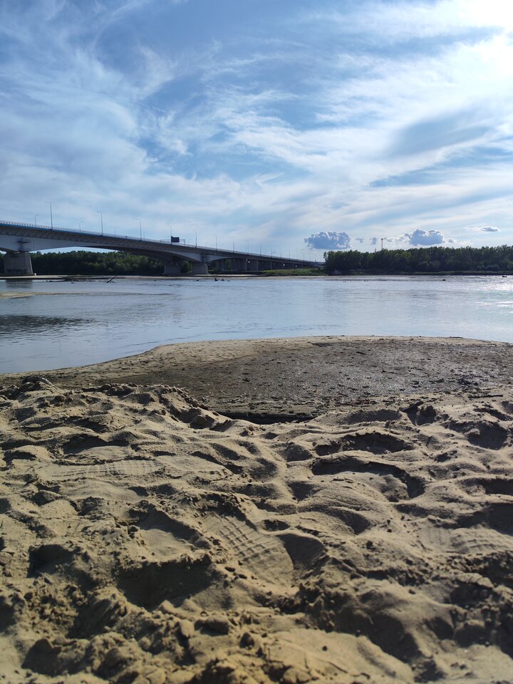 2024-08-0317.11.405275907912266478414.jpg - tom6970