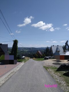 IMG_20240803_172455.jpg