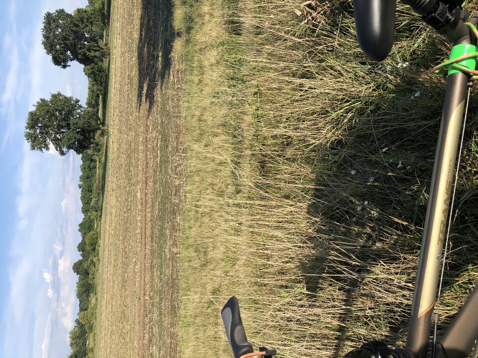 image.jpg - Lucyfer79wr