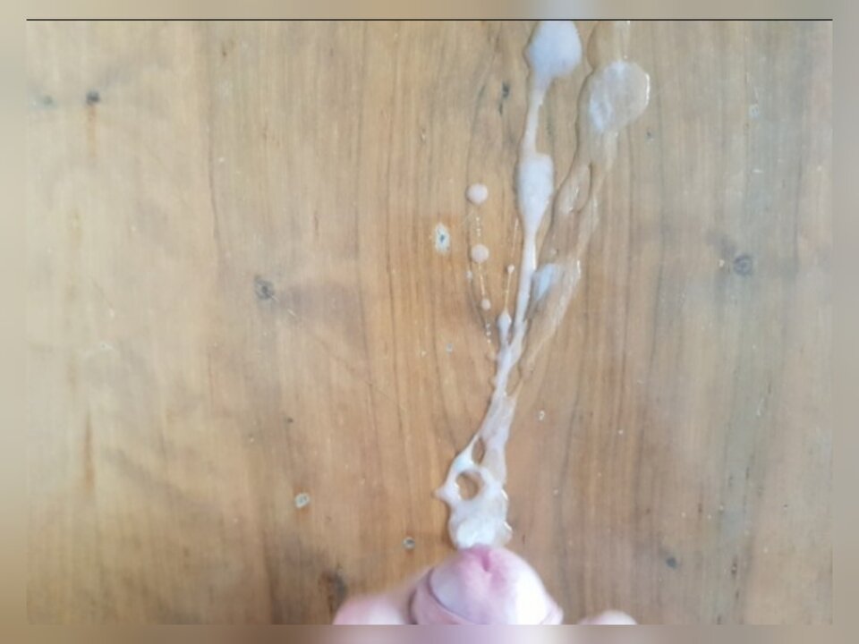 Polish_20240803_234229415.jpg - TakibrydzkiJa