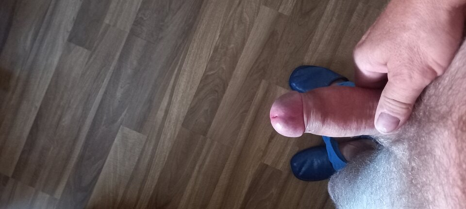 20240730_074630.jpg - Kogut1111