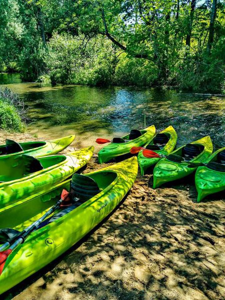 😉Kajaki w lubuskim - Ostrozni699