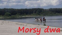 Wyprawa 2024 08 03 - do golasów.