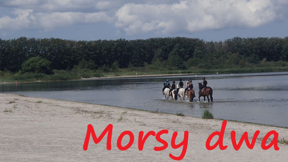 Wyprawa 2024 08 03 - do golasów. - Morsy_dwa