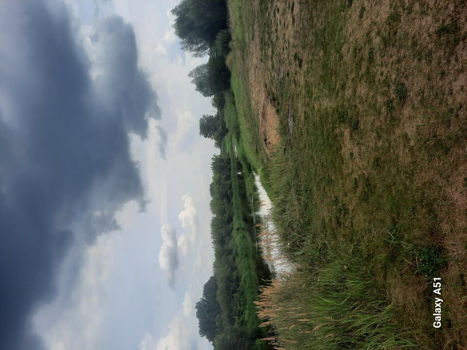 17227659968586837915711033584636.jpg - Jeremi30