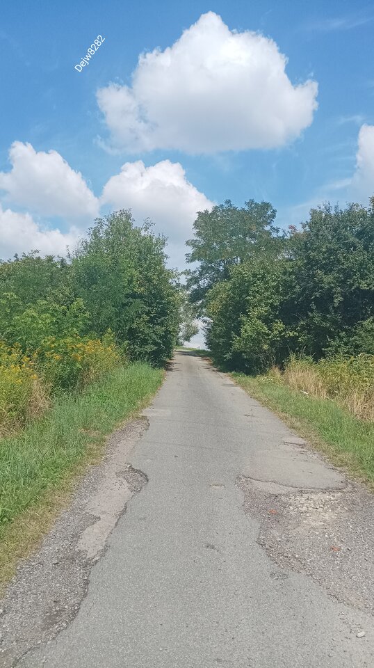 IMG_20240804_125148.jpg - Dejw8282