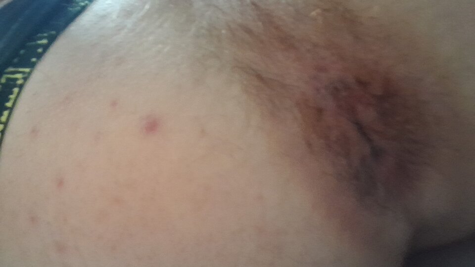 1000040868.jpg - damian1127