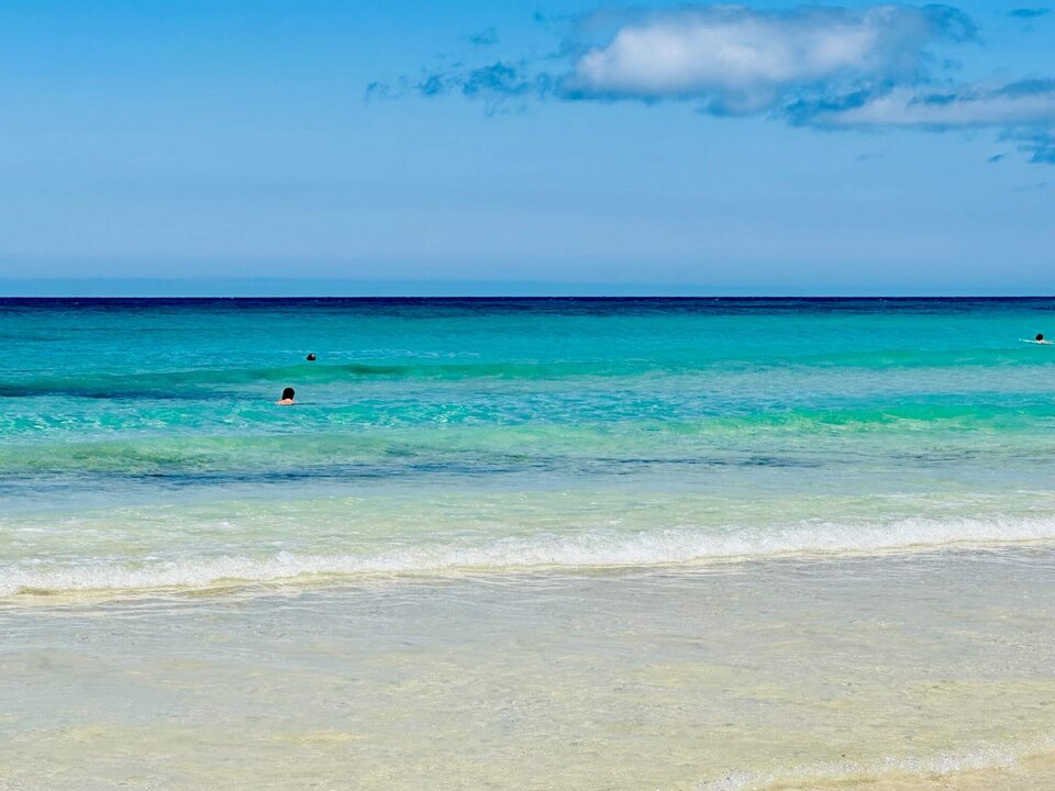 IMG_8582.jpg - Wesolychlopakk