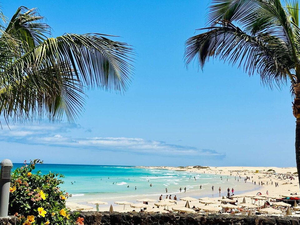 IMG_8569.jpg - Wesolychlopakk