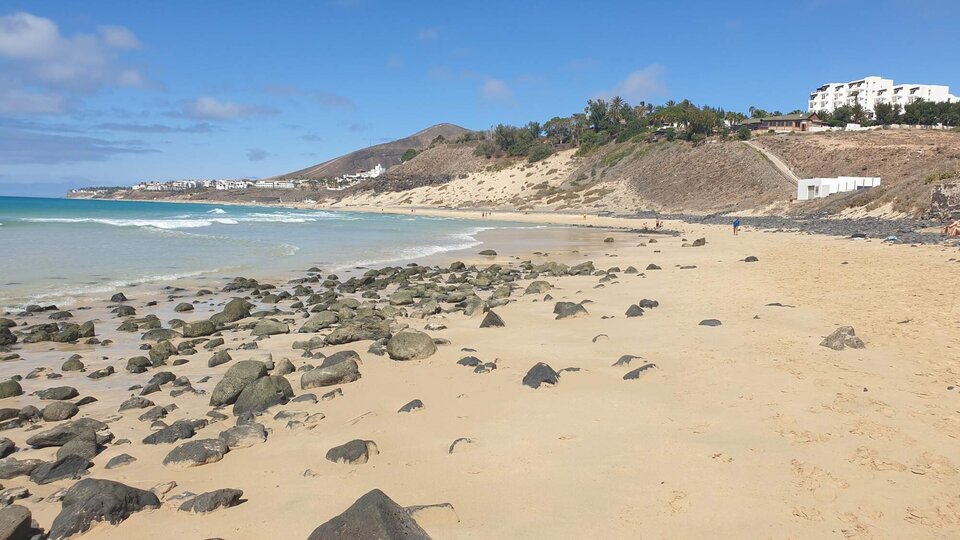 20240707_112109.jpg - Wesolychlopakk