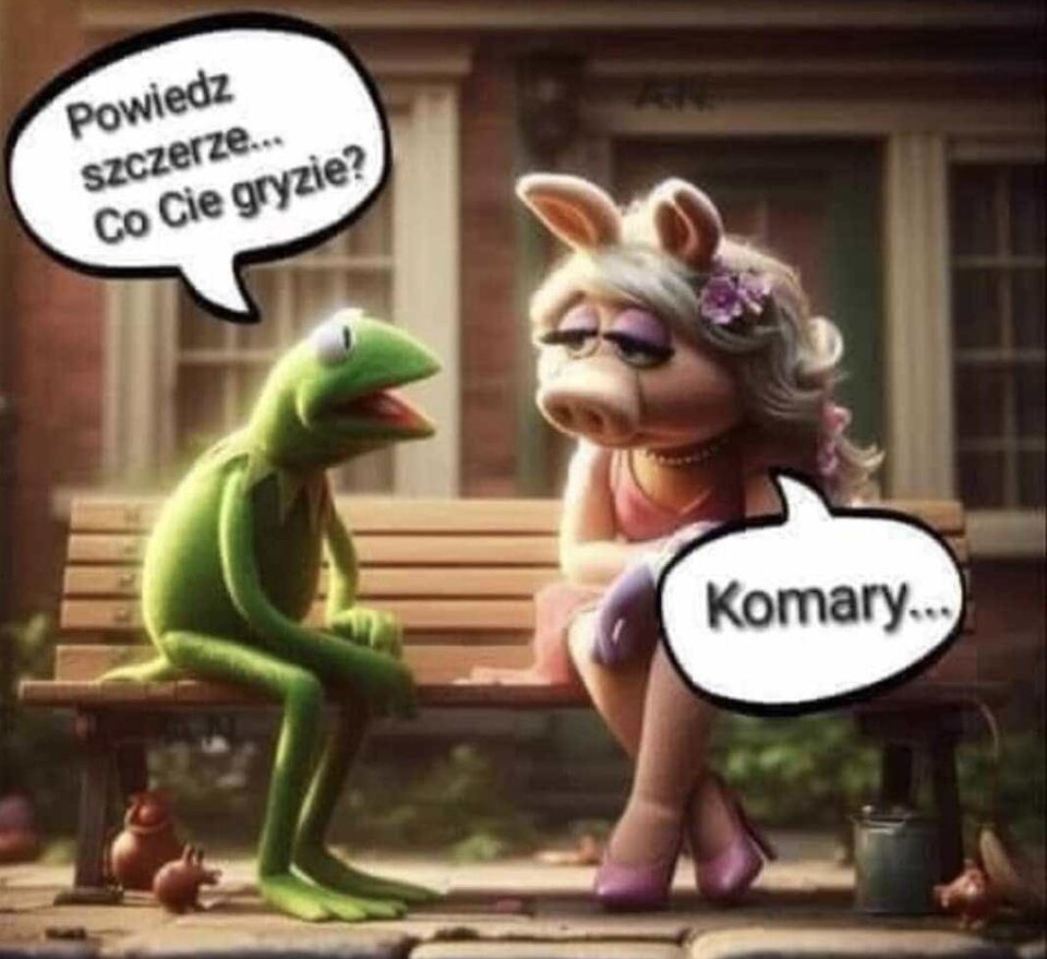 IMG_0318.jpeg - PiggyiKermit