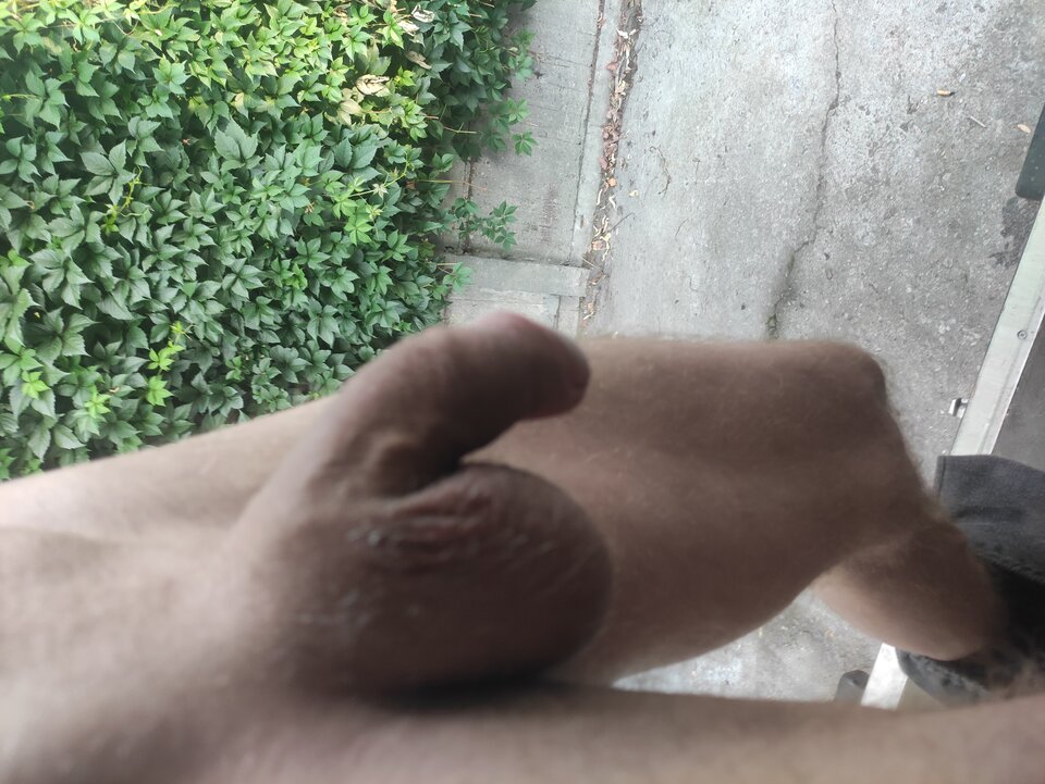 IMG_20240802_063750.jpg - Adamadam1978