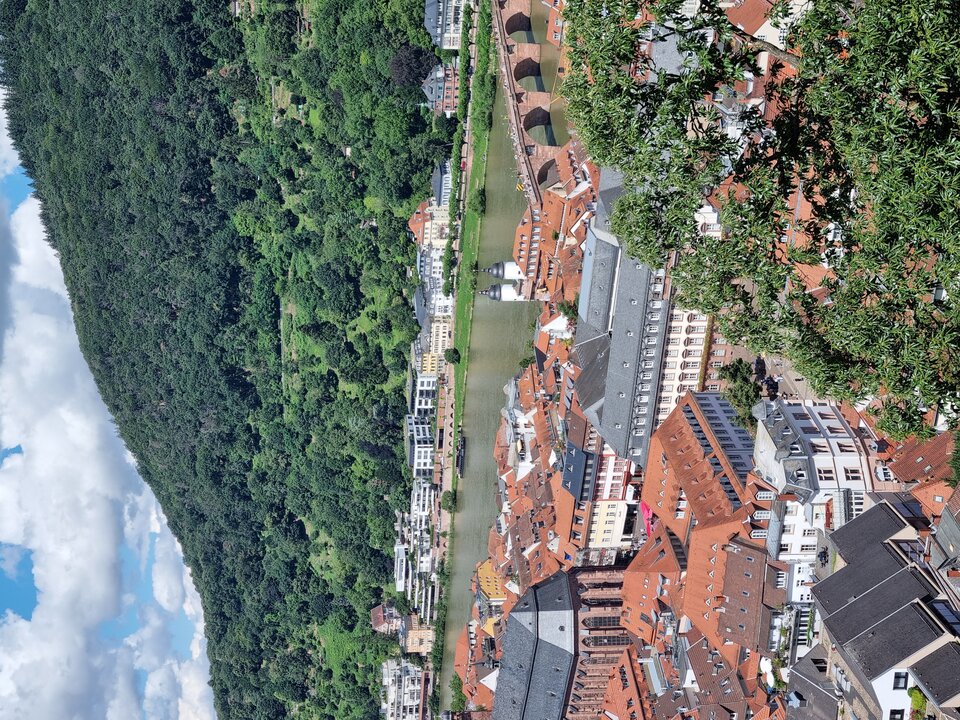 20240713_121853.jpg - Raczejok