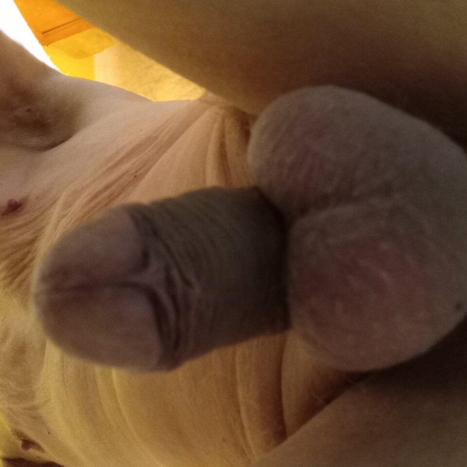 1000003141.jpg - brus13