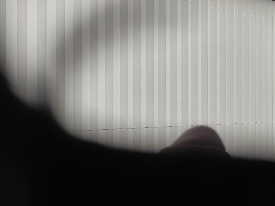 17228361424047235506678791630918.jpg - NicponieFest