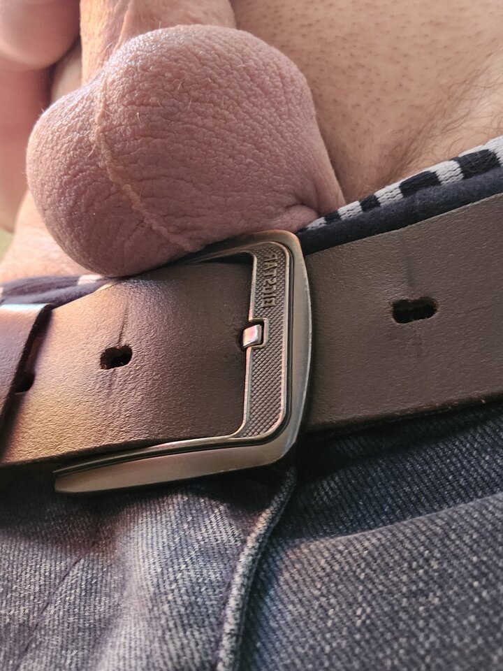 1000000074.jpg - cristatus