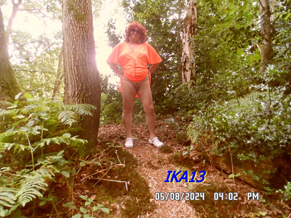 SAM_1962.JPG - ika13