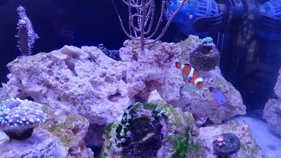 1000001792.jpg - Geralt197