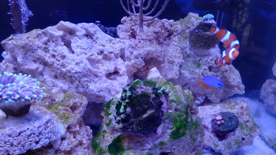 1000001791.jpg - Geralt197