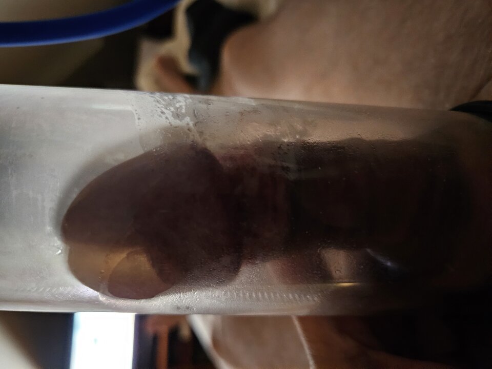 17229775370737960087993334416842.jpg - wojciech_d