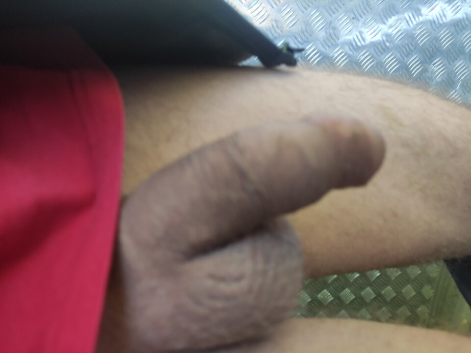 IMG_20240806_064301.jpg - Adamadam1978