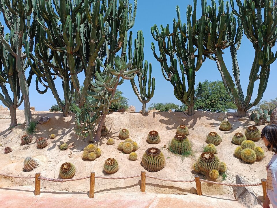 1000004965.jpg - buszmen333