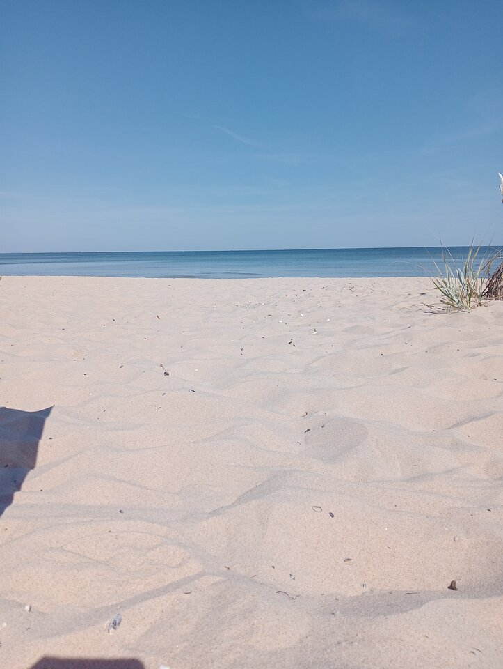 IMG20240807102841.jpg - kinga1908