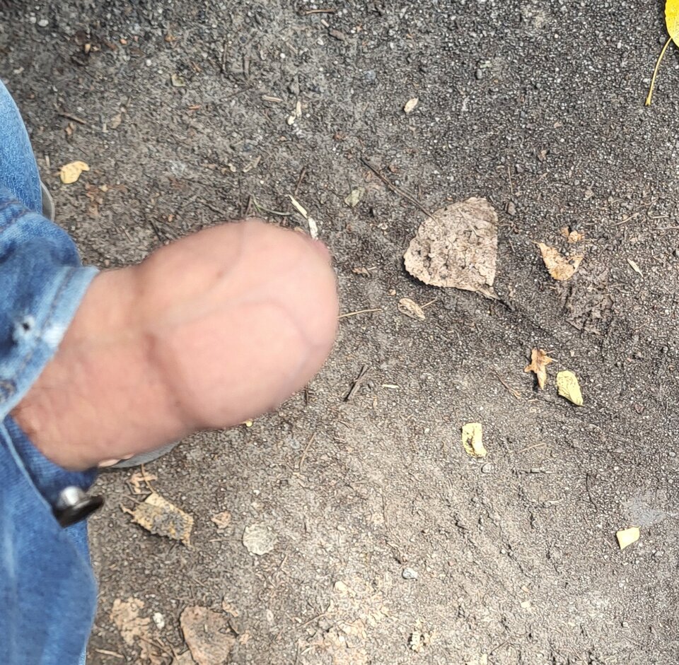 20240807_110215.jpg - BESTIALITY