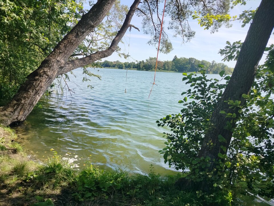 1000000444.jpg - Sympatycznych_fajnych_realnych