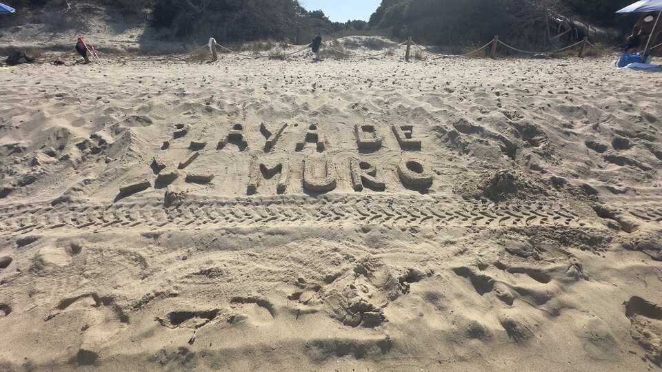 IMG_7373.jpeg - Nightdriver40