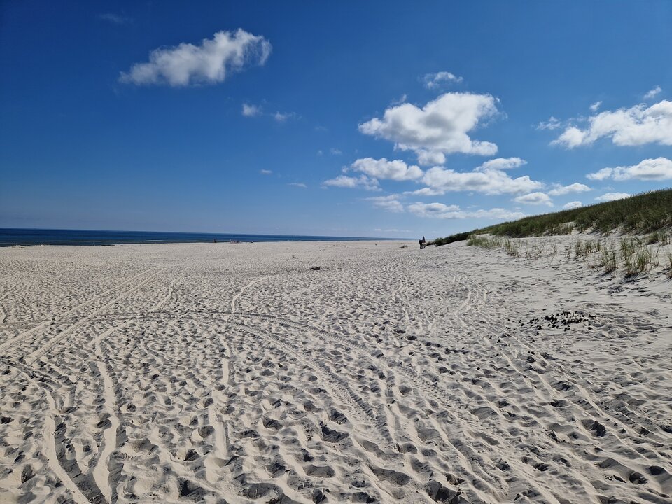 1000004560.jpg - EdekP