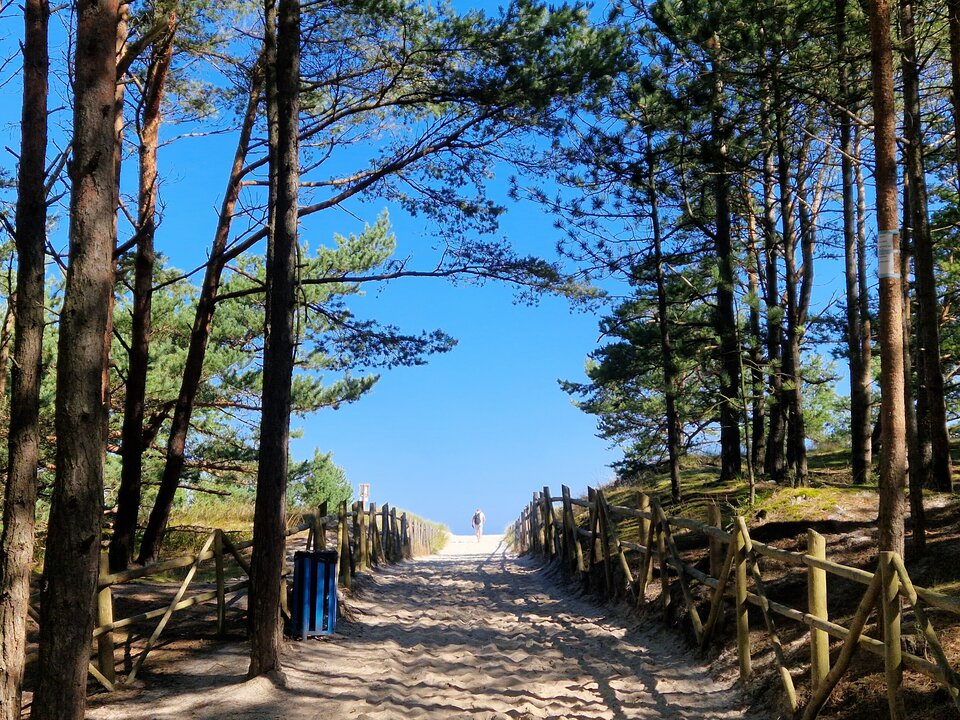 1000004557.jpg - EdekP