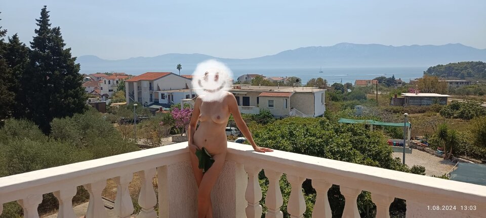 Panorama - AnKar2022