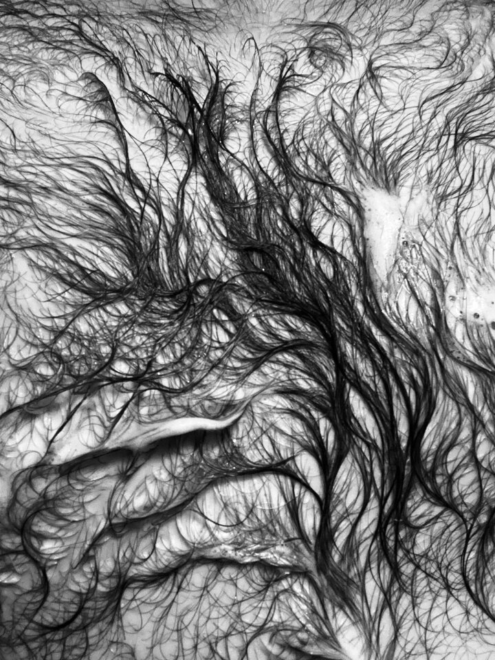 IMG_4755.jpeg - 86tom86