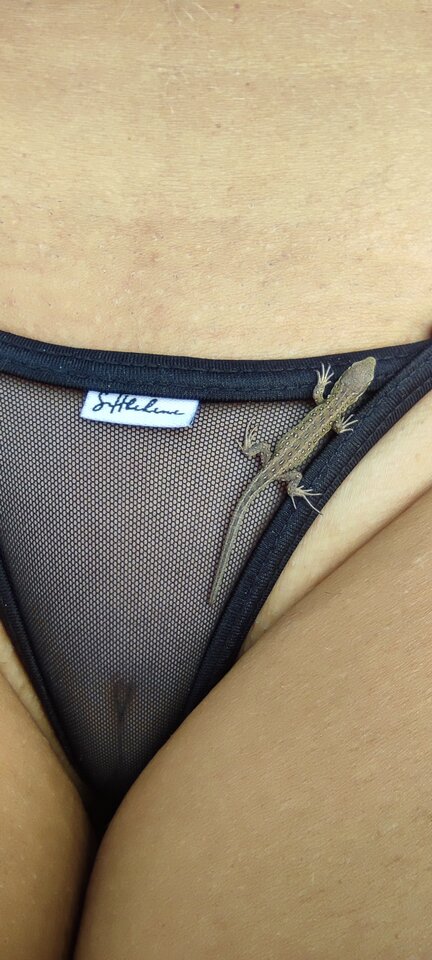 IMG_20240804_125031.jpg - DaMa1980