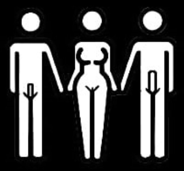 259_1000z.jpg - Ten_3ci