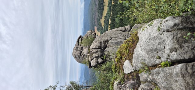 jasnepelne