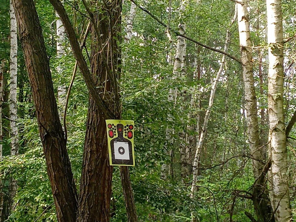 17231267091697209021193826473787.jpg - AdamJG