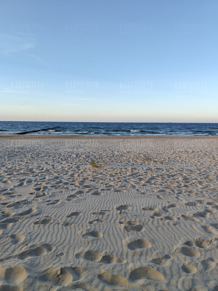 1000001267.jpg - Karpio1976