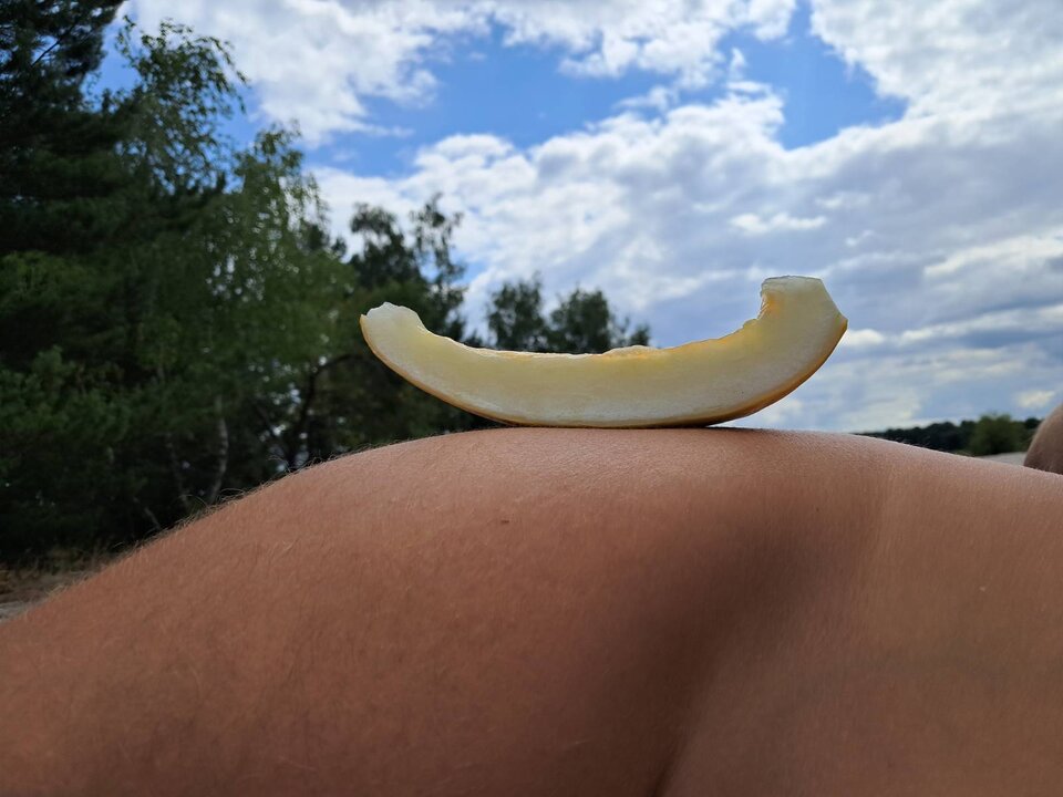 2024-07-30 - ParaKatharsis