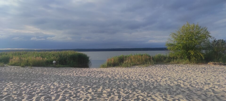 IMG_20240723_062053.jpg - ParaKatharsis