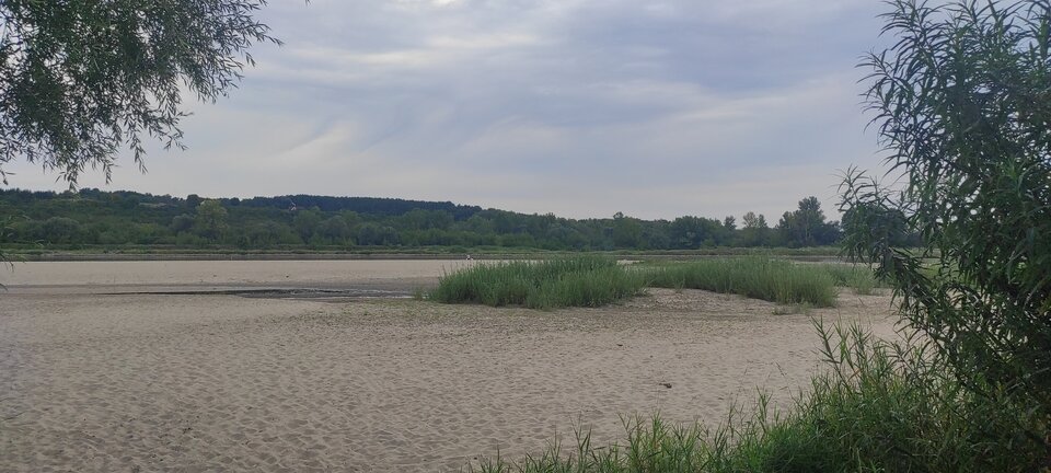 IMG_20240802_181056.jpg - ParaKatharsis