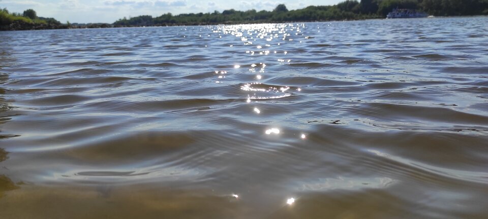 IMG_20240807_161952.jpg - ParaKatharsis