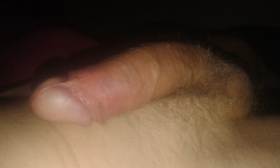 20240809_060828.jpg - 11igor11