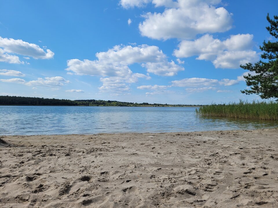 20240809_152857.jpg - Marcin_grzybowice